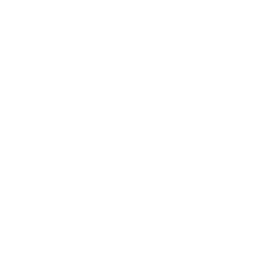 Naturals Beauty Academy Logo _White final approved (3)