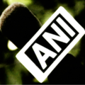 ANI NEWS